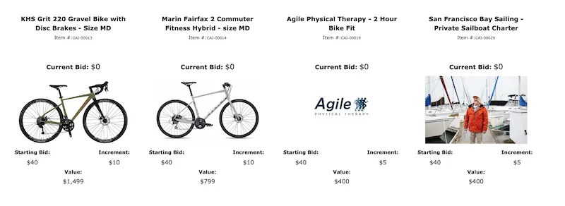 screenshot showing beginning of silent auction